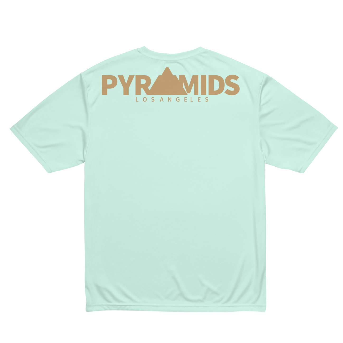 Anyatoro Unisex Dry Fit T-shirt
